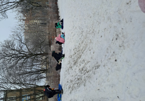 Dzieci, jedno za drugim, zjeżdżają na sankach z górki o łagodnym spadzie