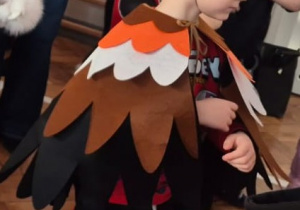 Chłopiec w przebraniu koguta